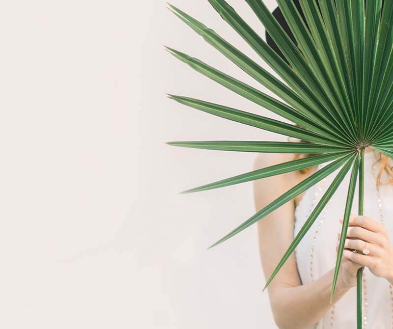 Curso 2025/26 en el Palomeras-Vallecas